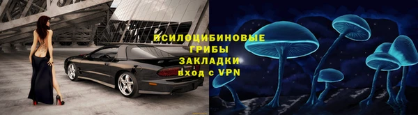 мяу мяу мука Беломорск
