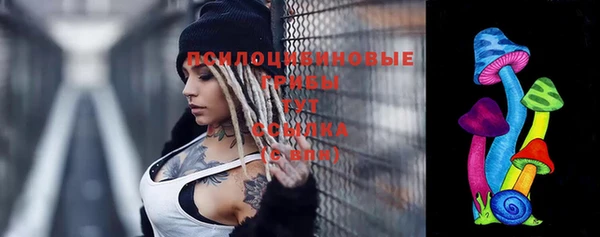 молекула духа Белоозёрский